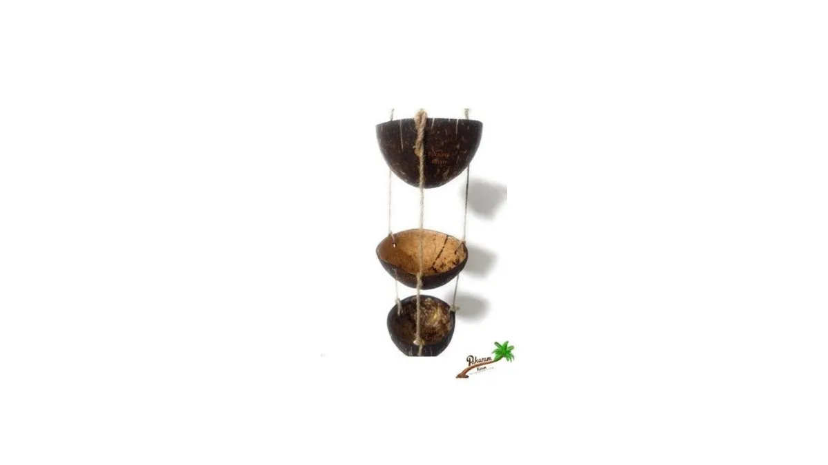 Coconut shell container for ginger and garlic storage